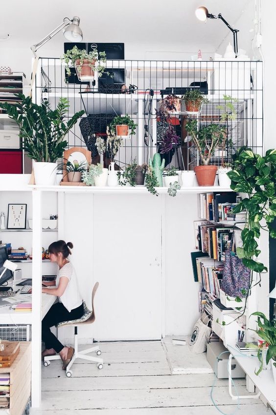 Add Some Greenery In The Office For More Productivity