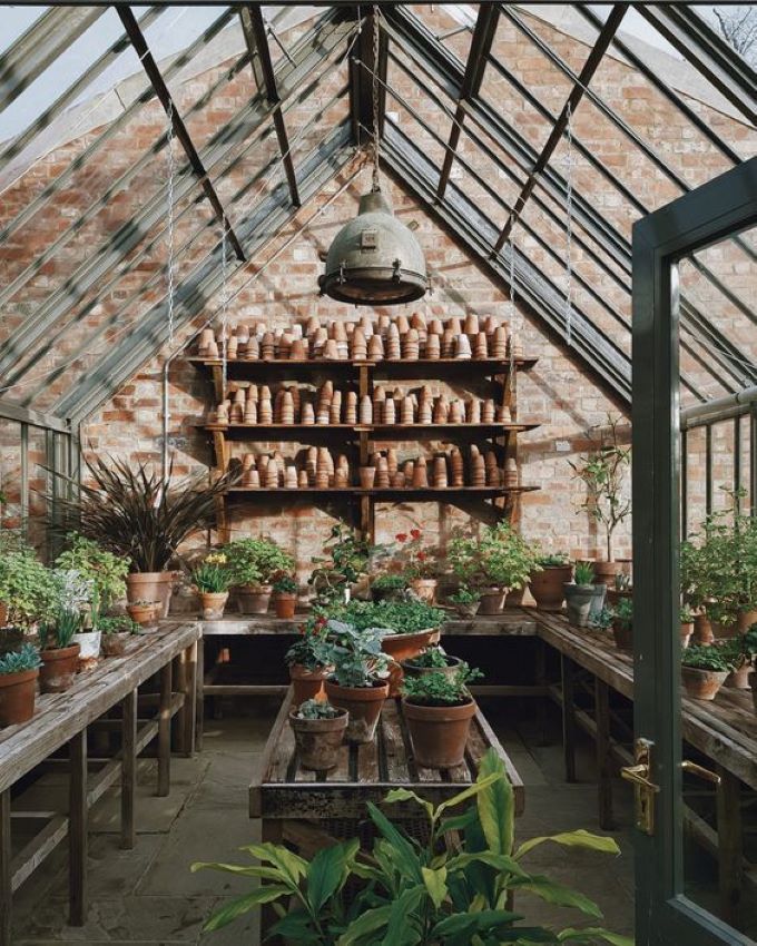 Daydreaming of Greenhouses.