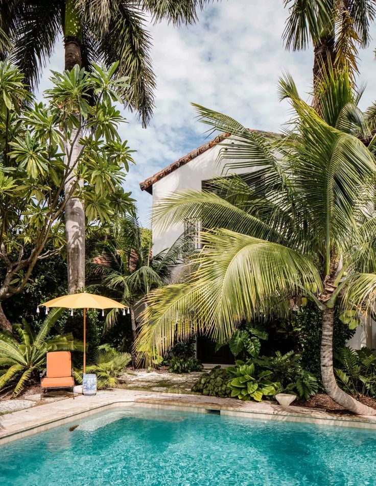 pool with tropical plants