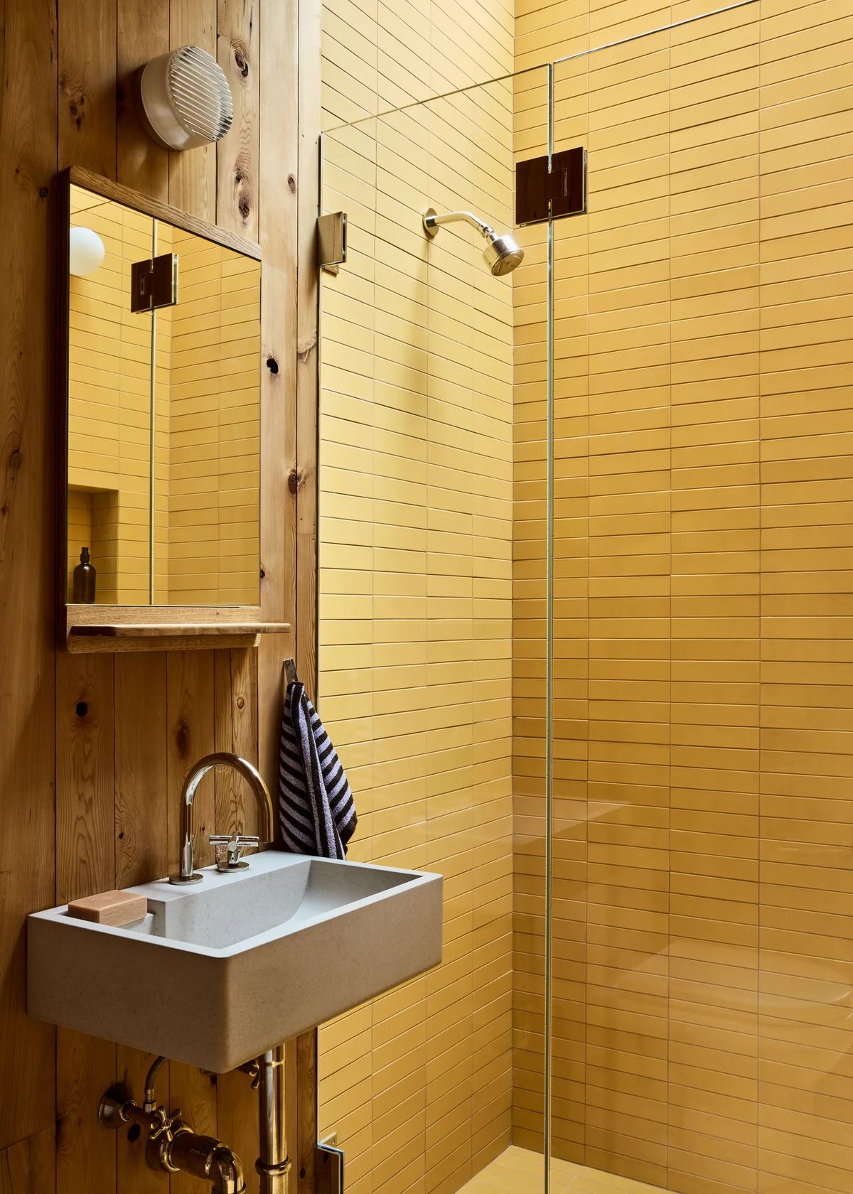 bathroom with skylight and Zia tiles