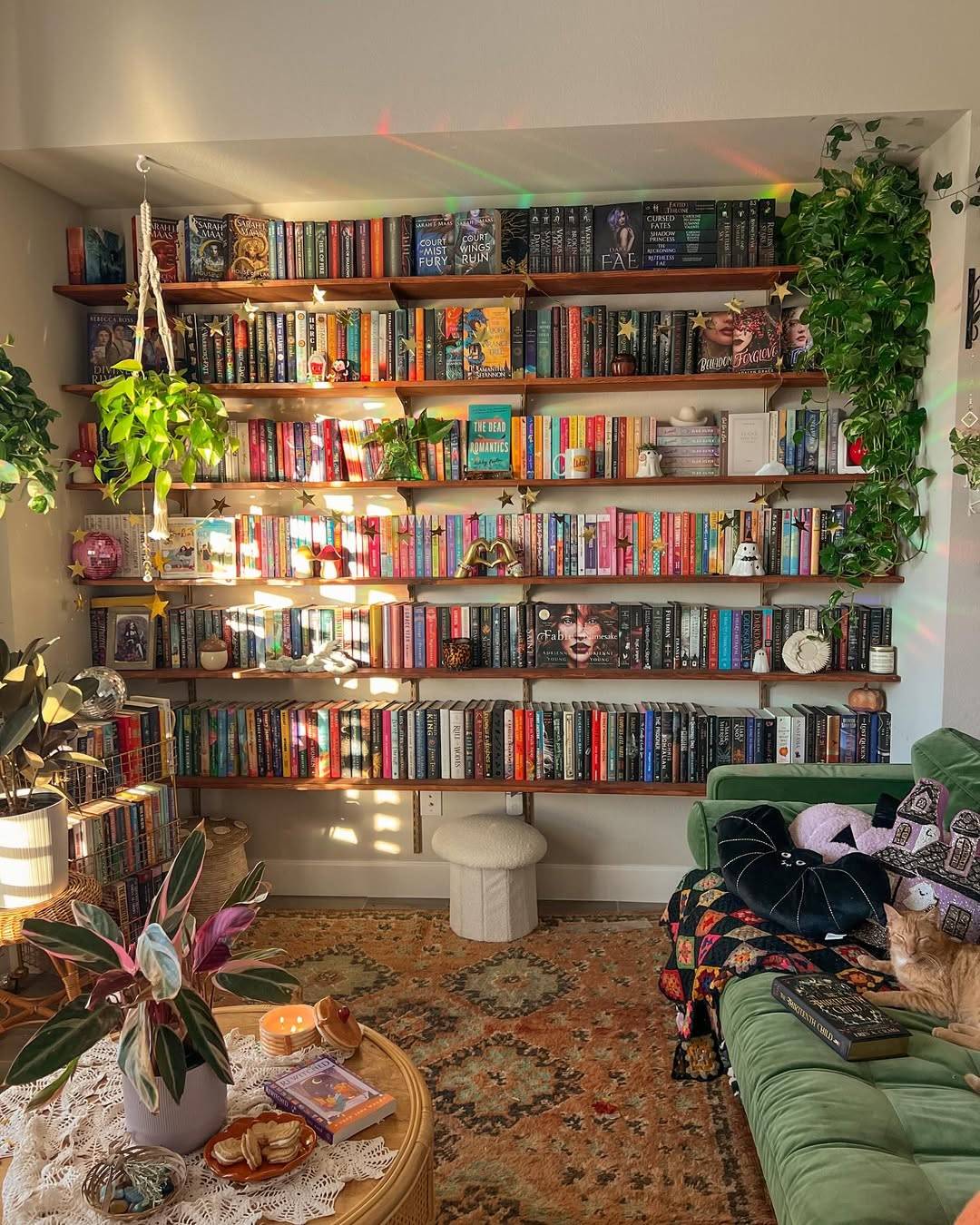 bookshelf, books, read, plants, cat lady, cat, 