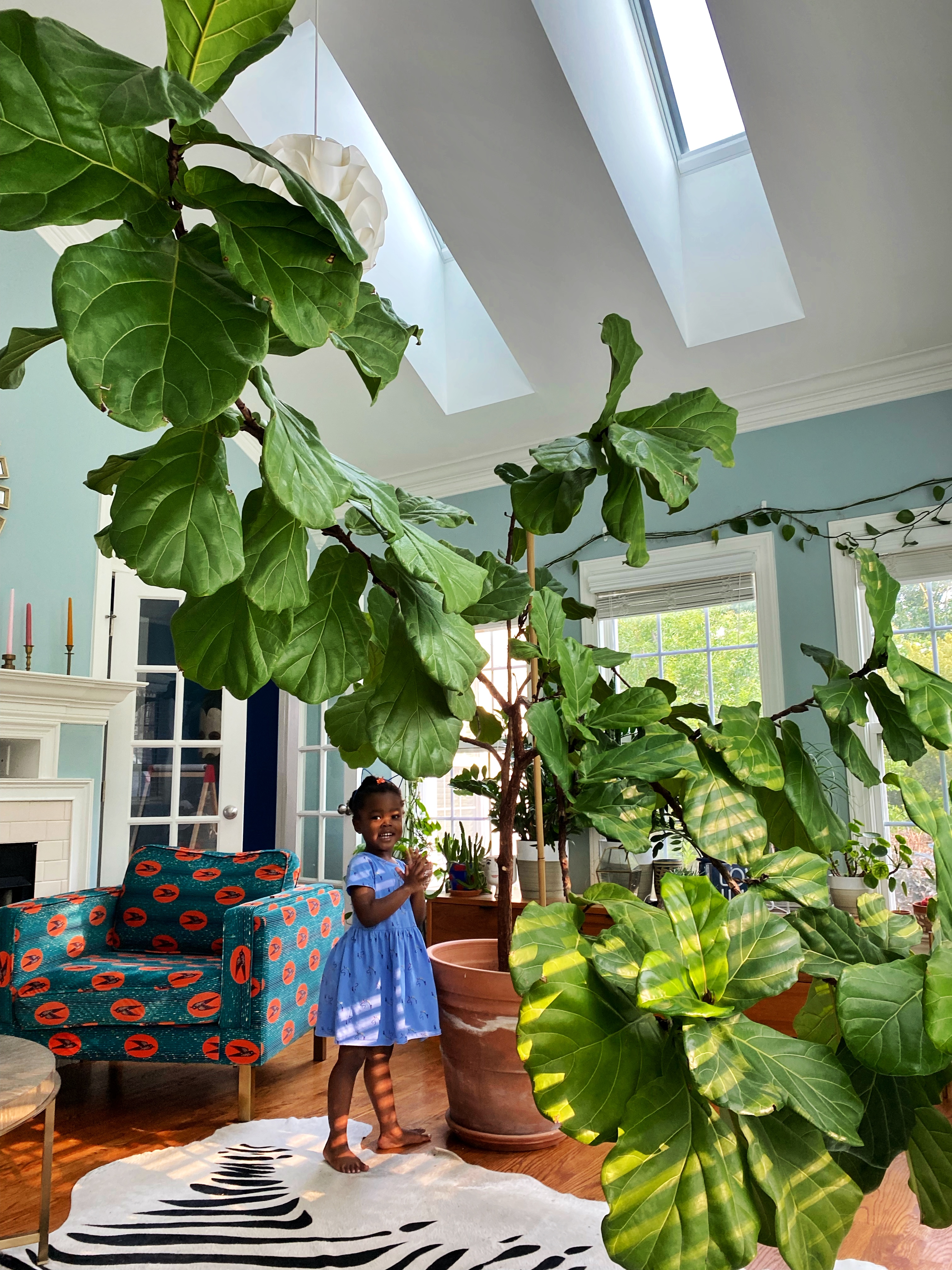 repotting houseplants in spring, when to repot plants, refreshing potting soil