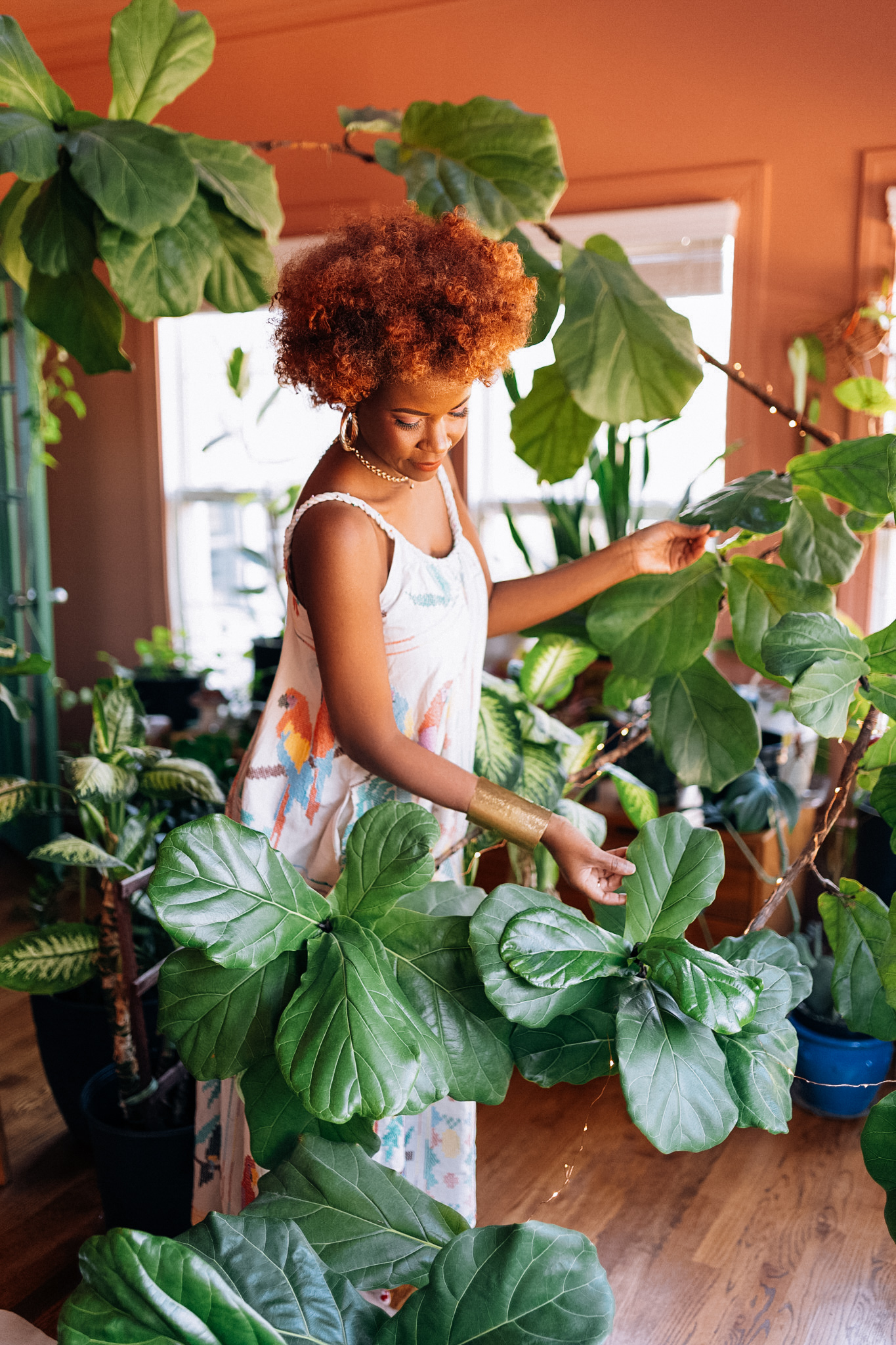 repotting houseplants in spring, when to repot plants, refreshing potting soil