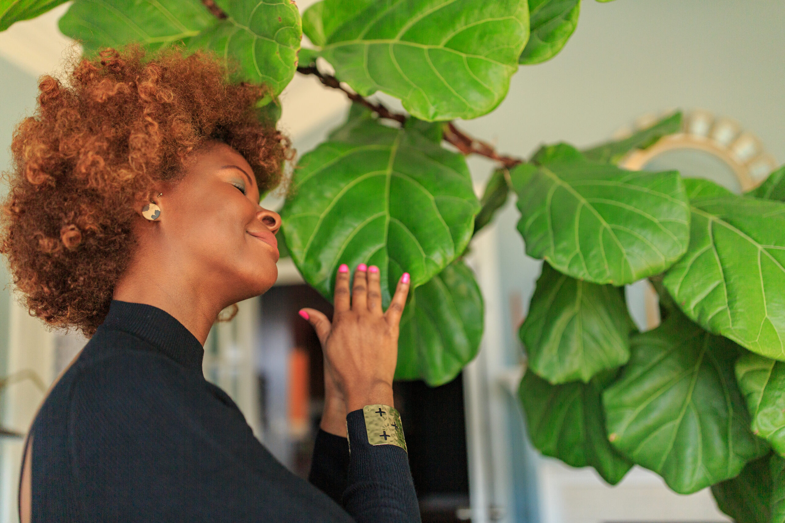 Spring Plant Reset: 7 Essential Plant Care Tips to Wake Up Your Houseplants After Winter